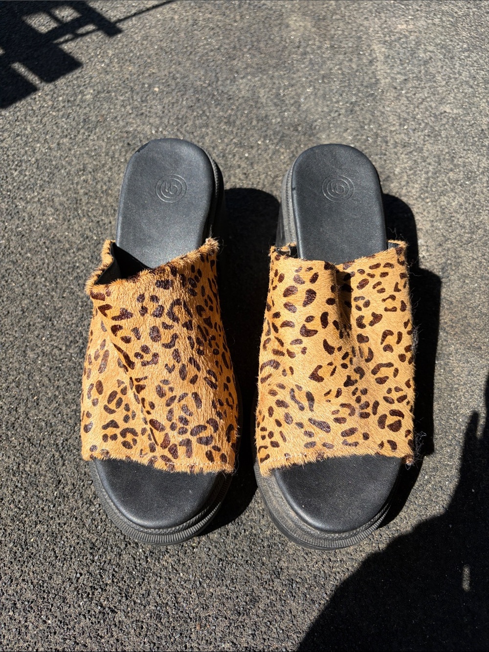 Urban Outfitters Leopard Slide Mules in Tan and Black